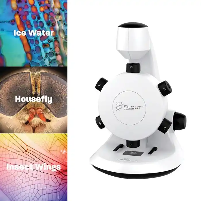 Bargain Hamilton Buhl Scout Digital Microscope